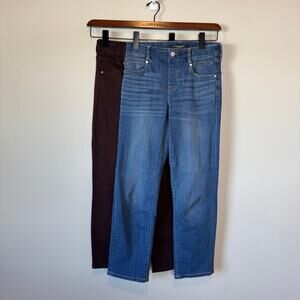 Liverpool Jeans Bundle Size 2/26 (2 Pairs) Blue Gia Glider & Brown Ankle Skinny